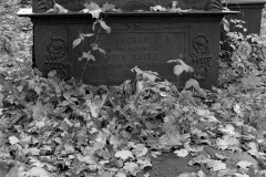 leontiev-smolensky-lutheran-cemetery-12
