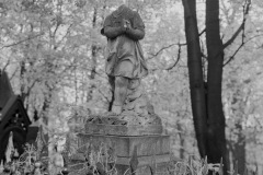 leontiev-smolensky-lutheran-cemetery-5